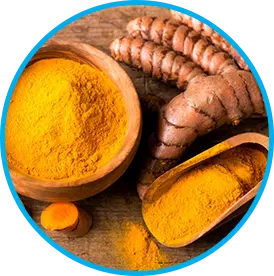 Himalayan Turmeric