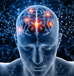 Mindora Brain Health