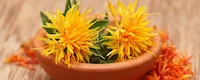 Safflower