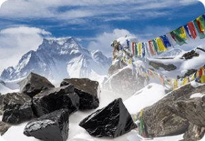 Shilajit Extract