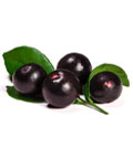 Acai Berry